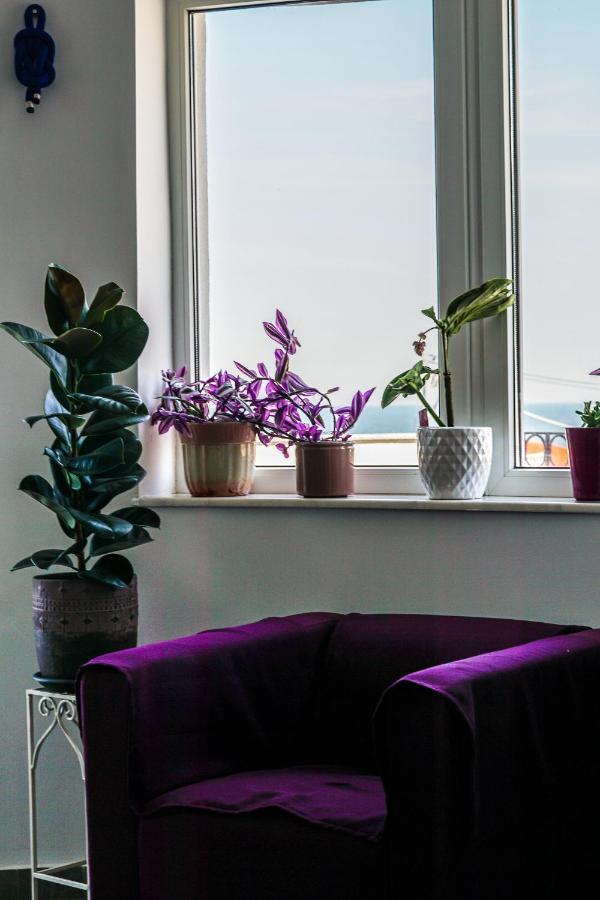 Vila Gladiola เอโฟริเอนอร์ด ภายนอก รูปภาพ